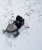 Купить Снегоход Бурлак Егерь Мини (17 л.с., укороченная гусеница) в  Екатеринбурге
