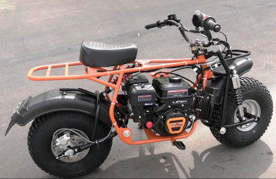 Купить Мотоцикл Скаут Сафари 3L-8E+ BIGFOOT (передняя и задняя подвеска, 8 л.с., э/старт, дисковый тормоз) в  Екатеринбурге